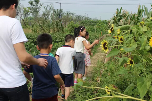 14379815039090441Ihn.png 14379815039090441Ihn.png