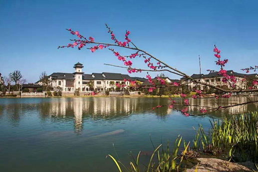 1460514498593156M7Tq.png 07.png